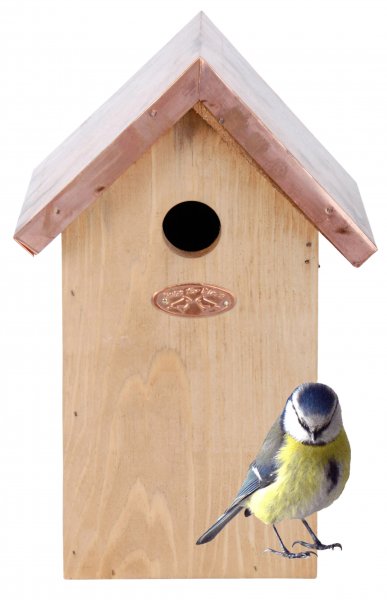 Blue Tit Birdhouse